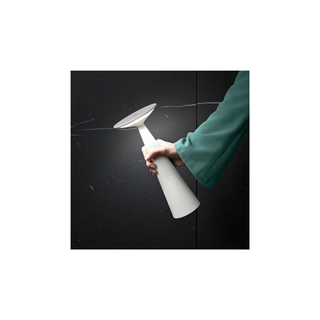 Dama lampada da tavolo LD0611B3