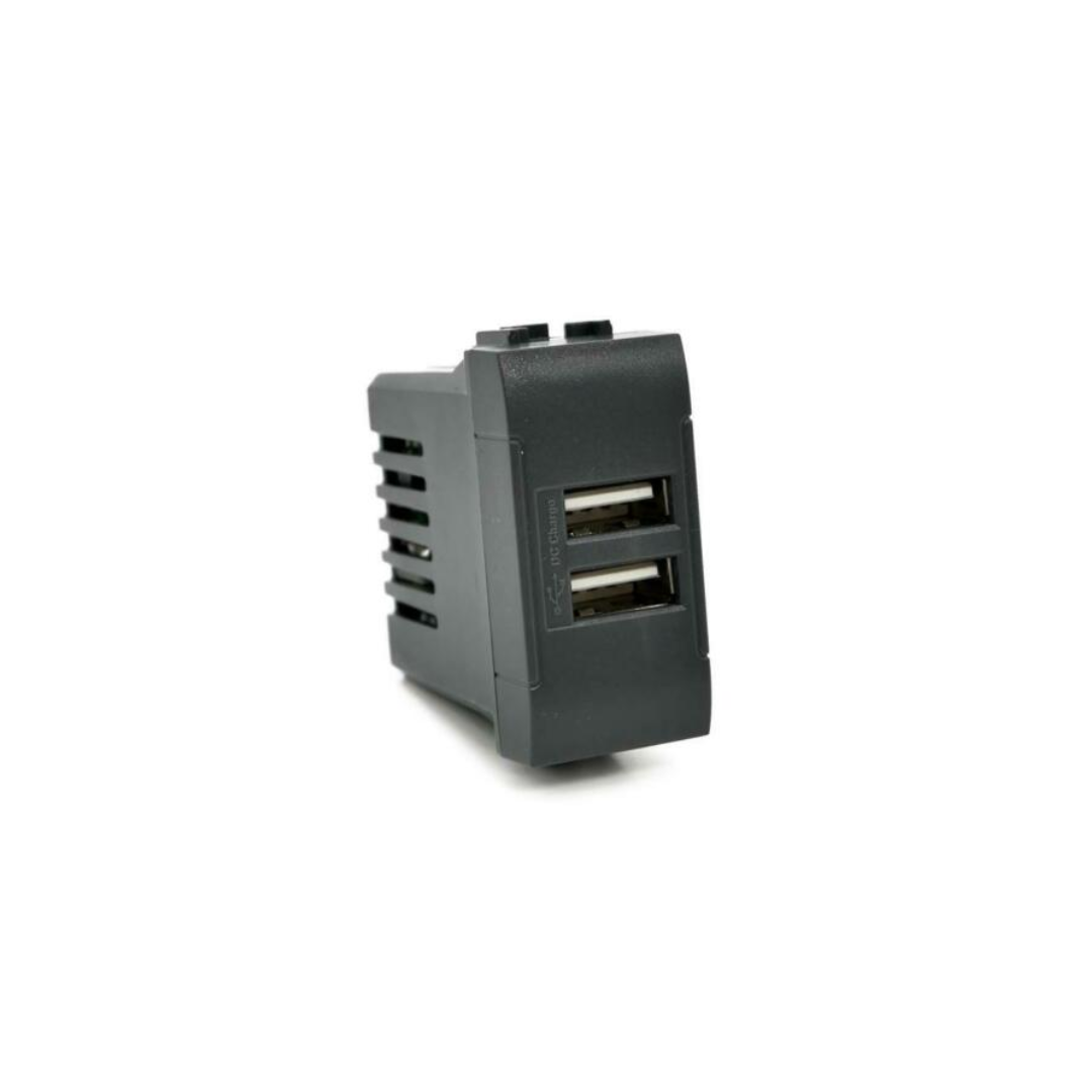 Doppia Presa Usb 2A 821N/Int-Lgt Nero Compatibile con serie Living
