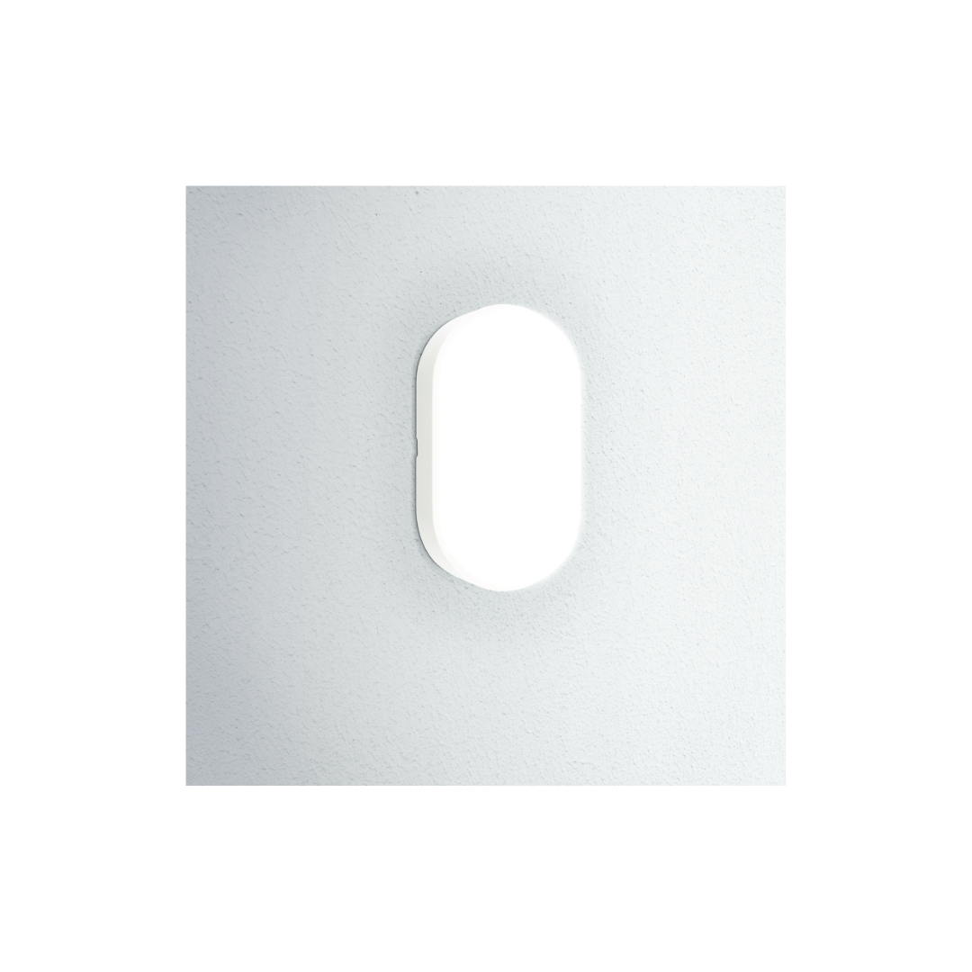 Plafoniera OASI CCT ovale bianca 14w 3000-4000-6500k CENTURY OSOB-1411900