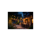 FIESTA LED FILO LUCI BIANCO CLEAR 36V 6W - E27 - 2200K - 500 Lm